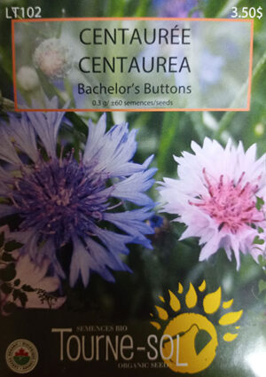 Centaurée ‘Bachelors Buttons’ / ‘Bachelors Buttons’ Centaurea - Pépinière