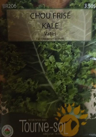 Chou Frisé ‘Vates’ / ‘Vates’ Kale - Pépinière