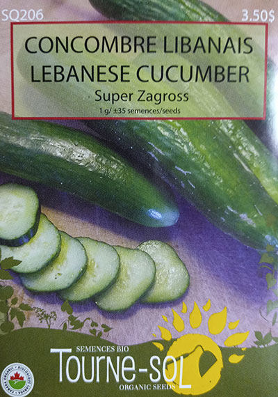 Concombre Libanais ‘Super Zagross’ / ‘Super Zagross’ Lebanese Cucumber - Pépinière