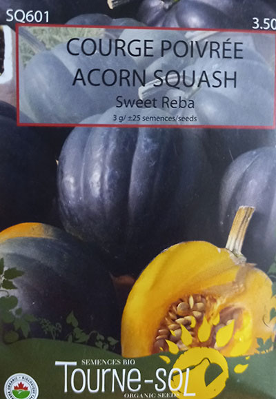 Courge Poivrée ‘Sweet Reba’ / ‘Sweet Reba’ Acorn Squash - Pépinière