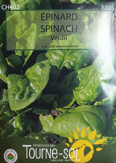 Épinard ‘Verdil’ / ‘Verdil’ Spinach - Pépinière