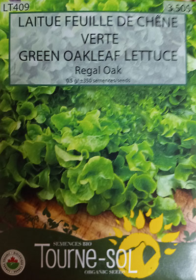 Laitue Feuille de Chêne ‘Regal Oak’ / ‘Regal Oak’ Oak Leaf Lettuce - Pépinière