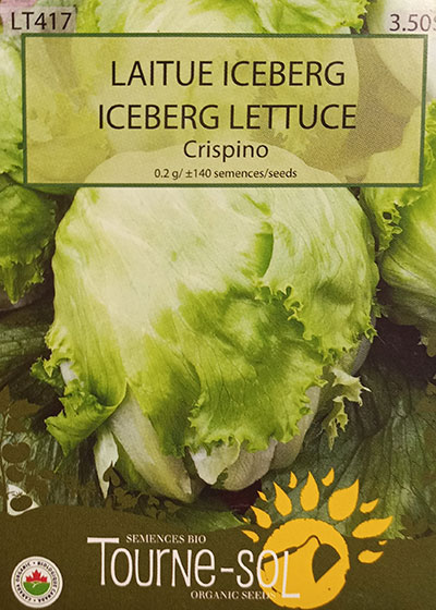 Laitue Iceberg ‘Crispino’ / ‘Crispino’ Iceberg Lettuce - Pépinière