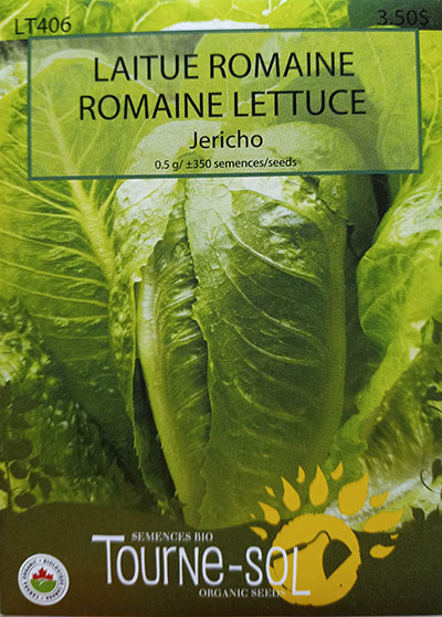 Laitue Romaine Verte ‘Jericho’ / ‘Jericho’ Green Romain Lettuce - Pépinière