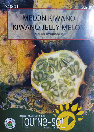 Melon Kiwano / Kiwano Melon - Pépinière