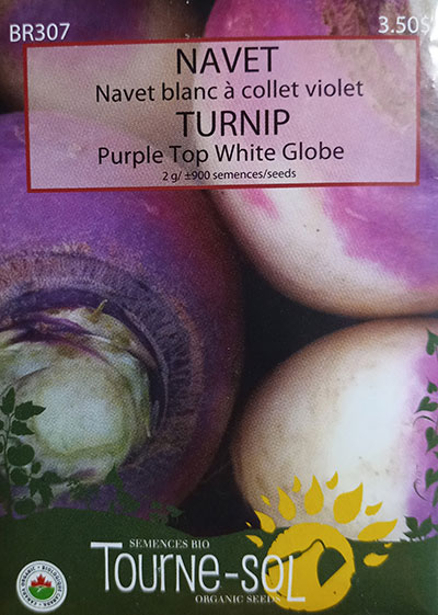 Navet Blanc à Collet Violet Bio / White Turnip with Purple Collar - Pépinière