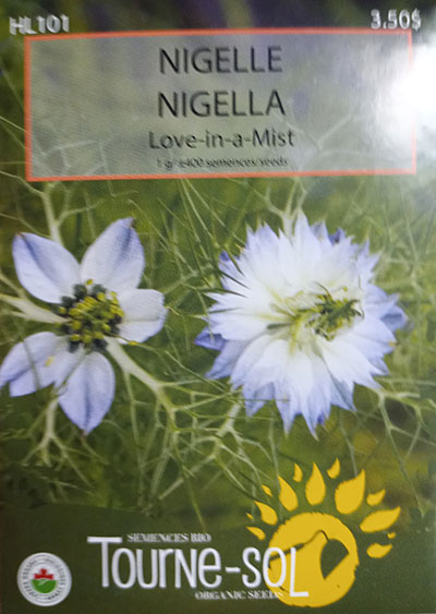 Nigelle ‘Love In the Mist’ / ‘Love in the Mist’ Nigella - Pépinière
