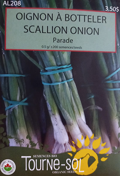 Oignon à Botteler ‘Parade’ / ‘Parade’ Scallion Onion - Pépinière