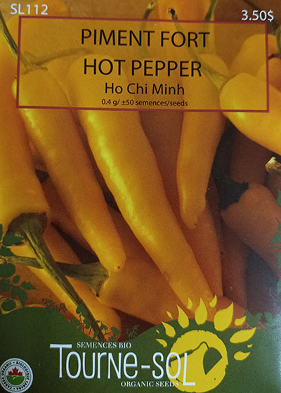Piment Fort ‘Ho Chi Minh’ / ‘Ho Chi Minh’ Hot Pepper - Pépinière