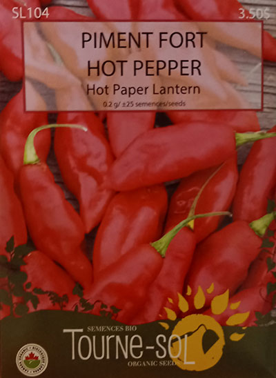 Piment Fort ‘Hot Paper Lantern’ / ‘Hot Paper Lantern’ Hot Pepper - Pépinière