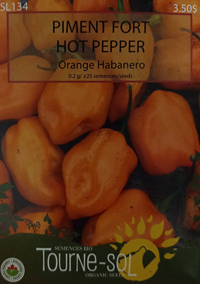Piment Fort Orange ‘Habanero’ / ‘Habanero’ Orange Hot Pepper - Pépinière
