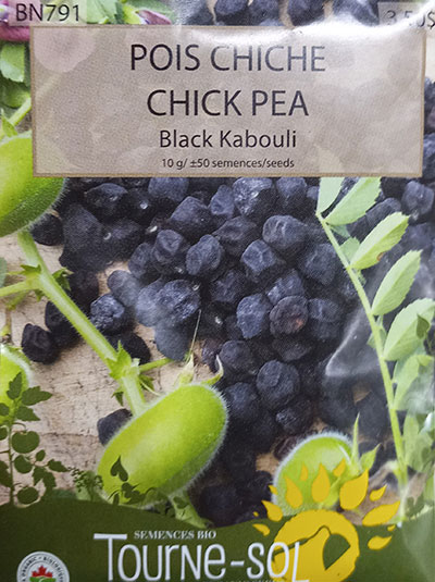Pois Chiche ‘Black Kabouli’ / ‘Black Kabouli’ Chich Pea - Pépinière
