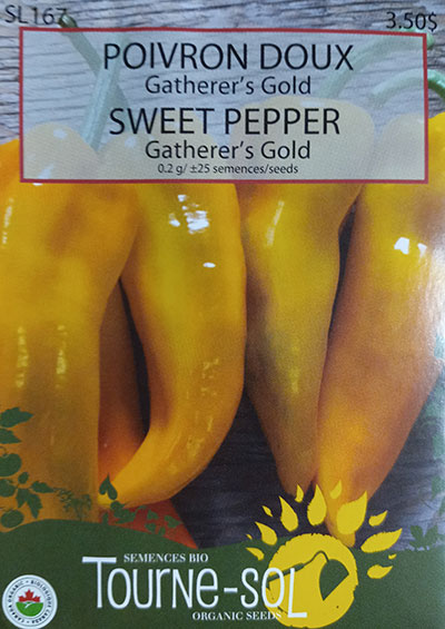 Poivron ‘Gatherer’s Gold’ / ‘Gatherer’s Gold’ Sweet Pepper - Pépinière