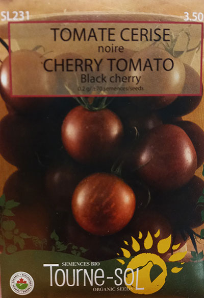 Tomate Cerise Noire / Black Cherry Tomato - Pépinière