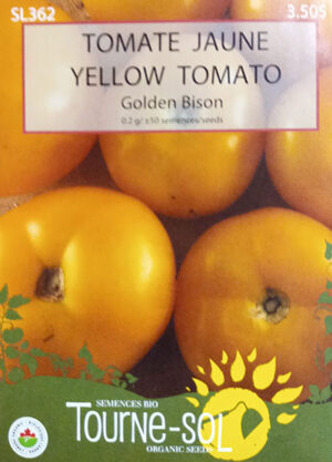 Tomate Jaune ‘Golden Bison’ / ‘Golden Bison’ Yellow Tomato - Pépinière