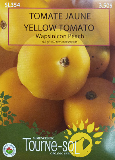 Tomate Jaune ‘Wapsinicon Peach’ / ‘Wapsinicon Peach’ Yellow Tomato - Pépinière