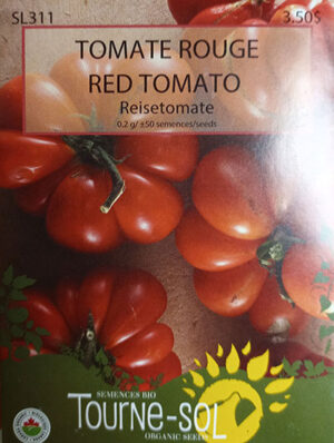 Tomate Rouge ‘Reisetomate’ / ‘Reisetomate’ Red Tomato - Pépinière