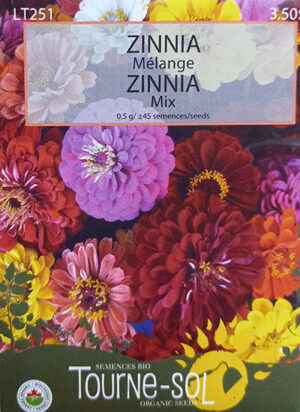 Zinnias Mélange / Zinnias Mix - Pépinière