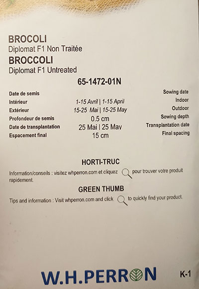 Brocoli « Diplomat » F1 Non Traité / « Diplomat » Broccoli F1 Untreated - Pépinière