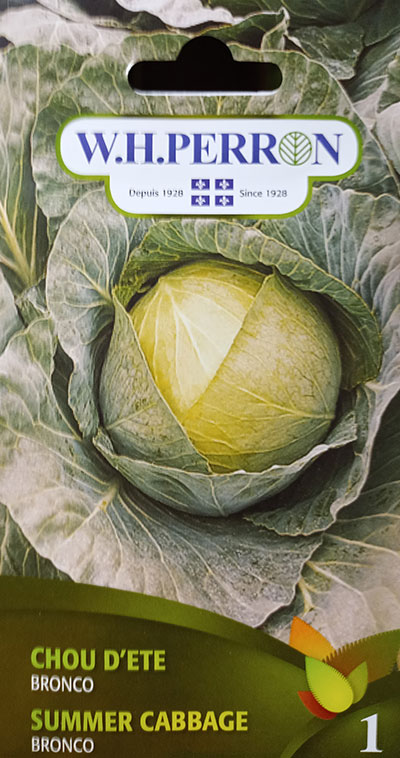 Chou d’Été ‘Bronco’ Non Traité / ‘Bronco’ Summer Cabbage Untreated - Pépinière