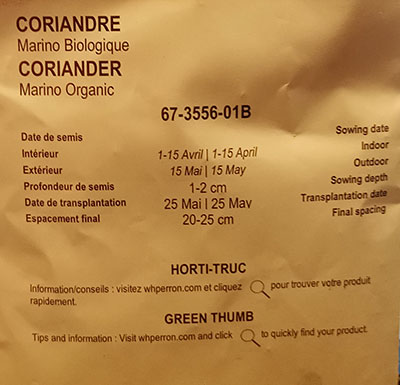 Coriandre ‘Marino’ Biologique / ‘Marino’ Cilantro Organic - Pépinière