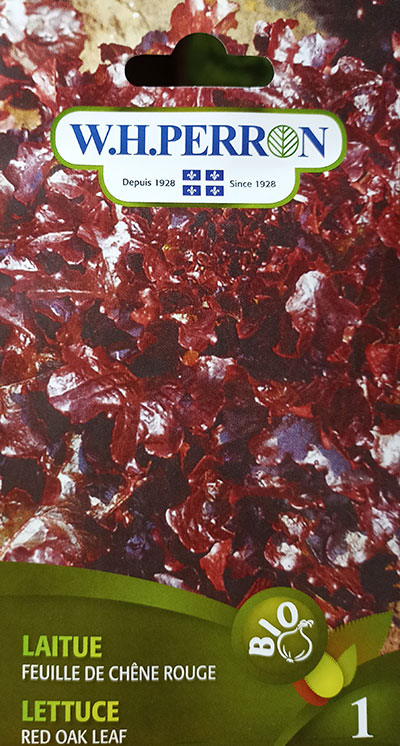 Laitue Feuille de Chêne Rouge Bio / Red Oak Leaf Lettuce Bio - Pépinière