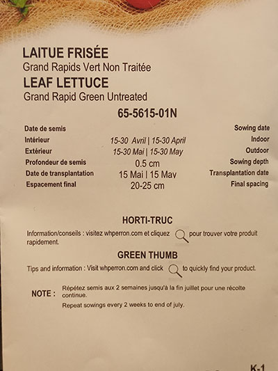 Laitue Frisée Verte ‘Grand Rapids’ / ‘Grand Rapids’ Green Curled Lettuce - Pépinière