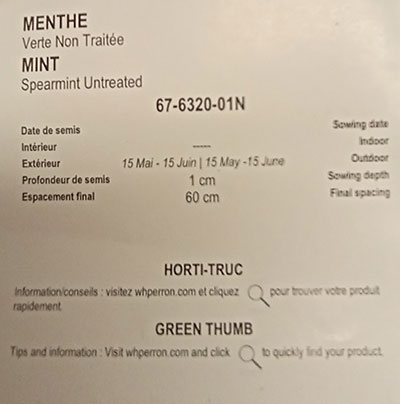 Menthe Verte Non Traité / Green Mint Untreated - Pépinière