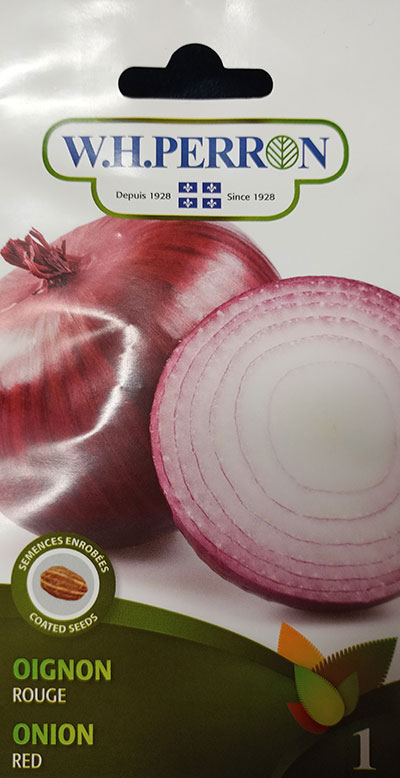 Oignon Rouge / Red Onion - Pépinière