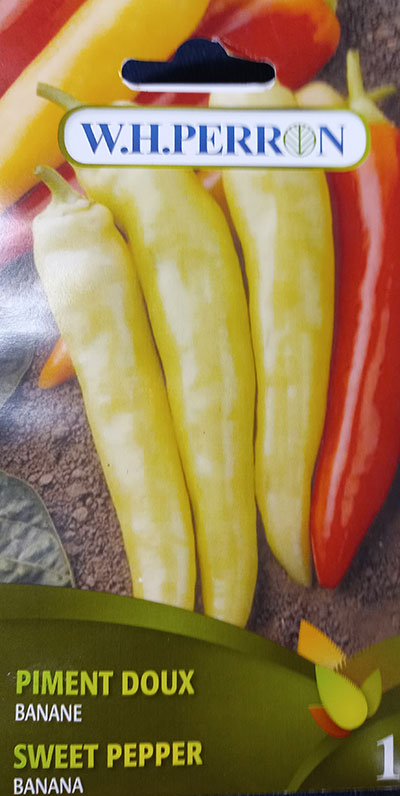 Piment Doux ‘Banane’ / ‘Banana’ Sweet Pepper - Pépinière