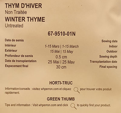 Thym d’Hiver Non Traité / Winter Thyme Untreated - Pépinière