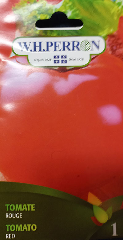Tomate Rouge / Red Tomato - Pépinière