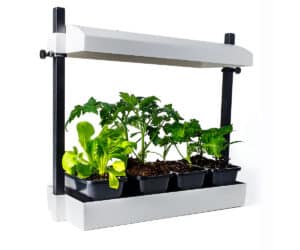 Mini Greenhouse T5 / SunBlaster Micro White - Pépinière