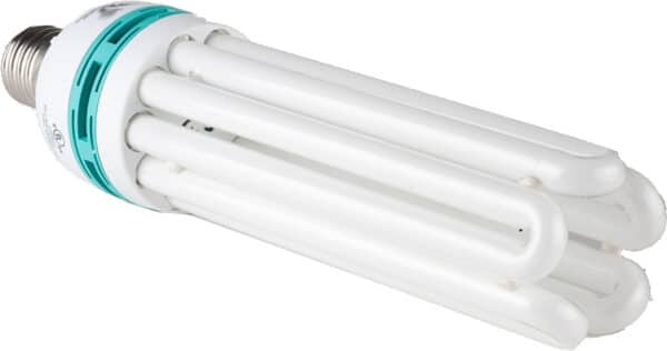 Ampoule SunBlaster CFL 6400K / Spectre Complet 125W - Pépinière