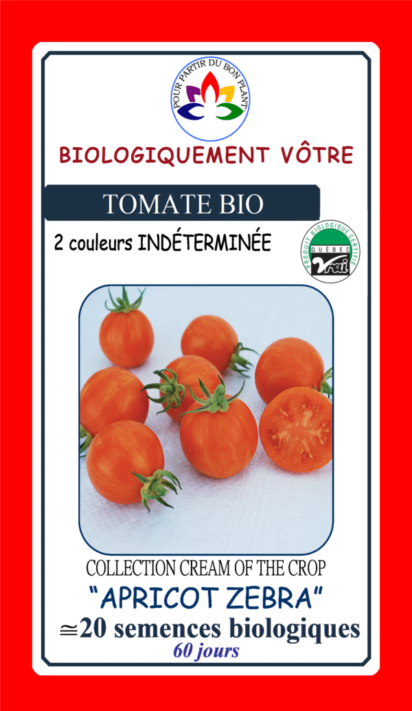 Tomate ‘Apricot Zebra’ Bio - Pépinière