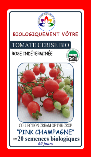 Tomate Rose ‘Pink Champagne’ Bio - Pépinière