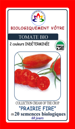 Tomate Cerise ‘Prairie Fire’ Bio - Pépinière