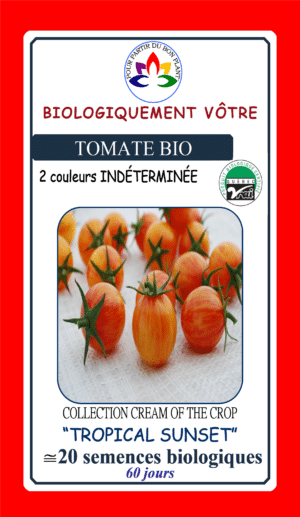 Tomate Cerise ‘Tropical Sunset’ Bio - Pépinière