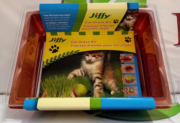 Trousse d’Herbe pour les Chats / Cat Grass Kit - Pépinière