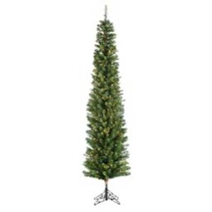 Thin permanent Christmas tree Darwin - Pépinière