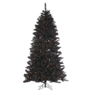 Permanent Christmas tree Hollywood - Pépinière