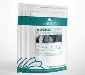 Hortinova / TOPARANI – Chou Rouge à Pollinisation Libre - Pépinière
