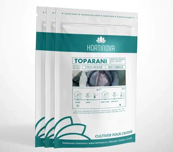 TOPARANI – Chou Rouge à Pollinisation Libre - Pépinière