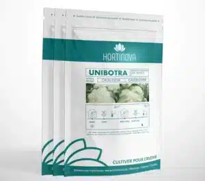 Hortinova / UNIBOTRA – Open Pollinated Cauliflower - Pépinière