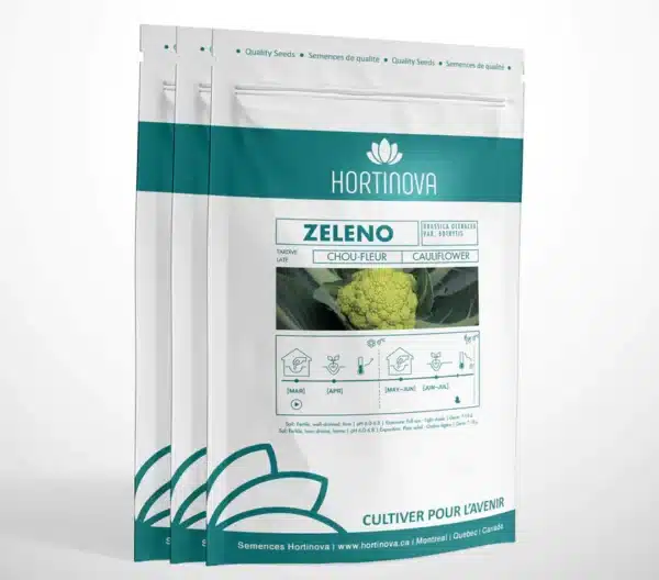 ZELENO – Chou-fleur Vert à Pollinisation Libre - Pépinière