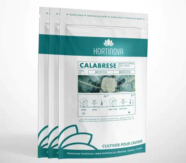 CALABRESE – Brocoli à Pollinisation Libre - Pépinière