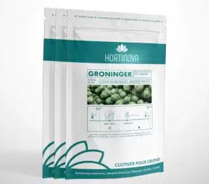 Hortinova / GRONINGER – Open Pollinated Heirloom Brussels Sprouts - Pépinière
