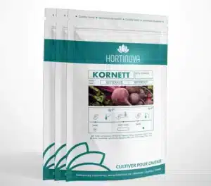 Hortinova / KORNETT – Open Pollinated Red Beet - Pépinière