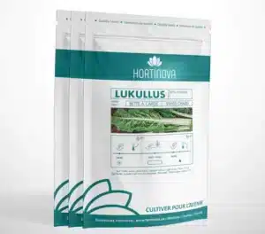 LUKULUS – Bette à Carde à Pollinisation Libre - Pépinière