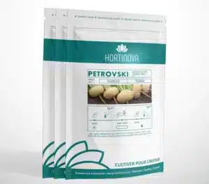 Hortinova / PETROVSKI – Open Pollinated Turnip - Pépinière